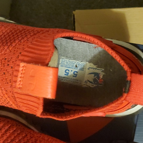 CHAMPION - Picture 9 of 10